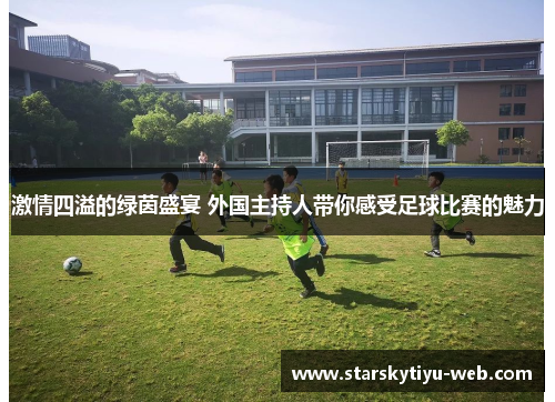 激情四溢的绿茵盛宴 外国主持人带你感受足球比赛的魅力
